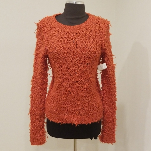 NWT! Free People Orange Size S/P Shaggy Sweater